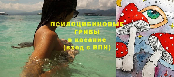 spice Бронницы