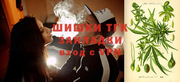 скорость Бородино