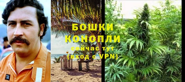 spice Бронницы